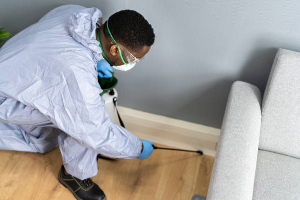 Emergency Pest Control Services in Pine Manor, FL